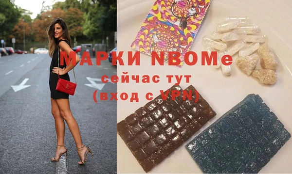 сатива Дмитровск