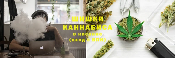 сатива Дмитровск