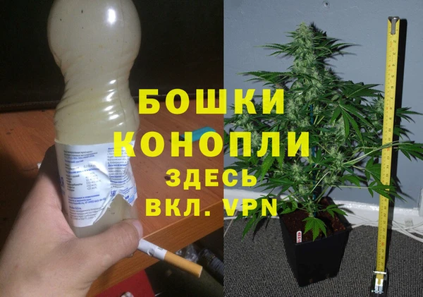 apvp Дмитров