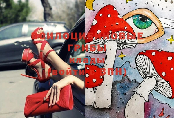 apvp Дмитров