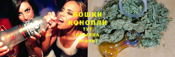 сатива Дмитровск